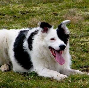 Meet your Posher, Cherie